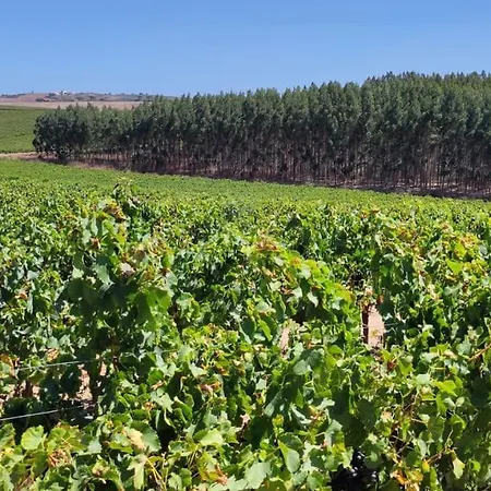 Ocean & Countryside דירה *