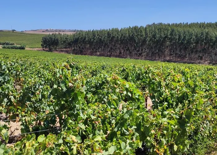 Ocean & Countryside アパート *